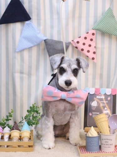 20250506ふたばちゃん